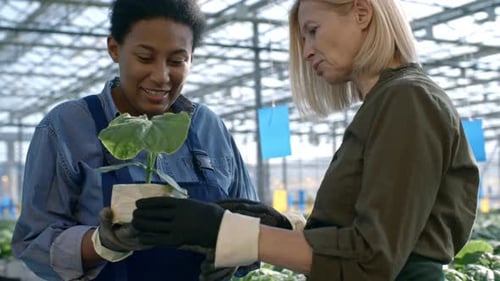 Cheerful Greenhouse Workers with Plant