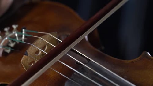 Close-up of Violin and Bow
