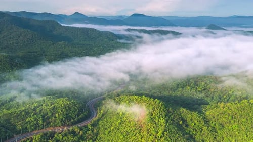 Beautiful aerial view sea of fog in the morning forest on mountain