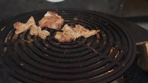 Meat Pieces Are Roasting on Grill Grid