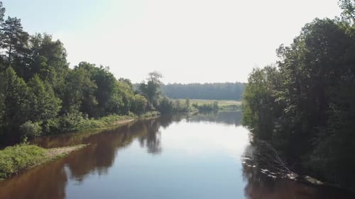 Landschaft der Natur - der Fluss zwischen dem Nadelwald
