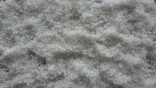 Nahaufnahme einer gemahlenen Kokosnussflocken