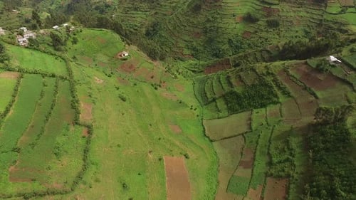 Aerial view of fields on highlands, Uganda