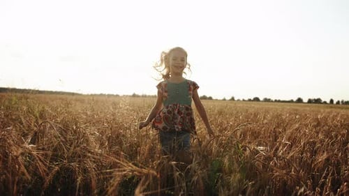 A Little Girl with Runs Across a Wheat Field Towards the Sun with a Bouquet of Daisies in Her Hand