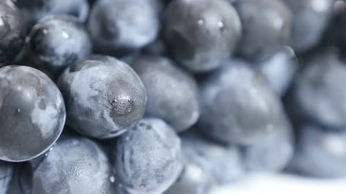 Gesunde europäische Vitis vinifera Traubenfutter Hintergrund langsame Neigung 2160p 30fps UltraHD-Aufnahmen - Lecker