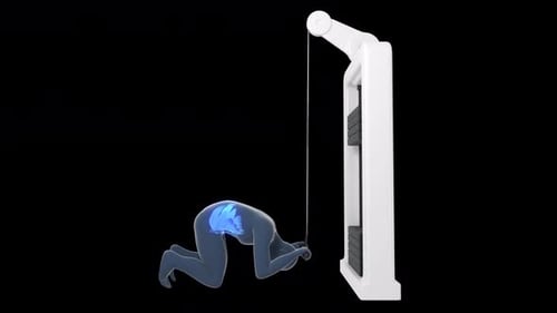 Cable Crunch Workout