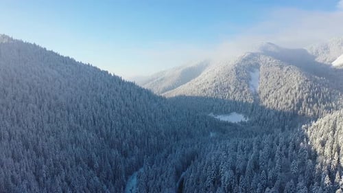 Aerial view on forest and mountains in the winter time. Natural winter landscape from air.
