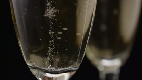 Waiter Makes a Glass with Sparkling Champagne. Black Background. Close Up