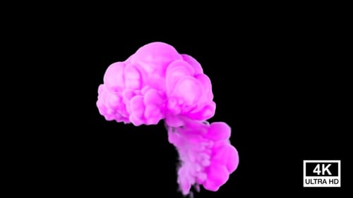 Abstract Pink Fluid Smoke Reveal Transition