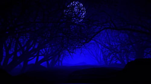 Eerie Animated Forest with Full Moon Seamless Loop Background