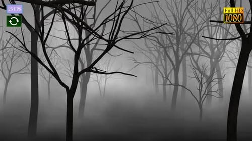 Mystery Forest A1 HD