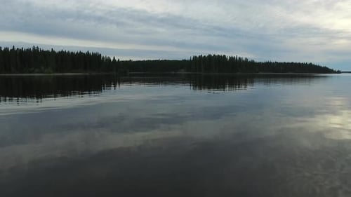 Lake shore with forest