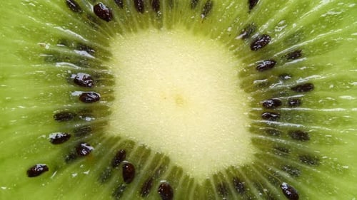 Extreme close-up of kiwi cut