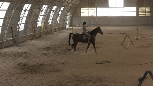 A girl trains a horse in an arena. Horse riding, horse racing, jumping