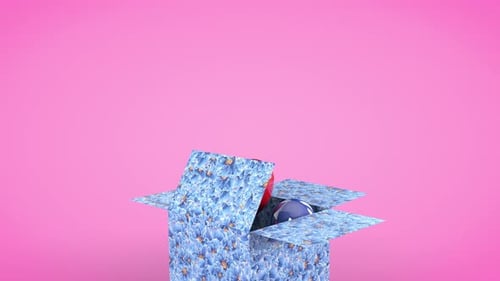 Gift Box Opening with Colorful Balloon Reveal