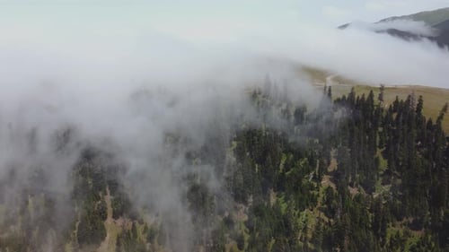 Vue aérienne des nuages et de la forêt