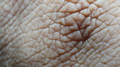 Extreme Close Up of Skin Texture and Pores