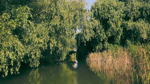 Blick vom Boot auf den Kanal oder Fluss und dichten Wald