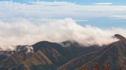 Niebla que se mueve en la montaña