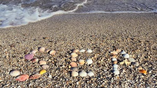 Shells 4