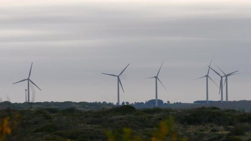 Wind Turbines Spinning in a Rural Landscape