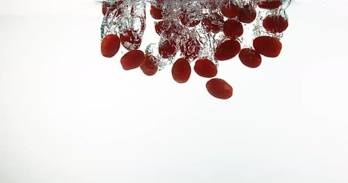 Cherry Tomatoes, solanum lycopersicum, Fruits falling into Water against White Background