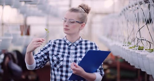 Woman Examining Plant Sprout in Greenhouse