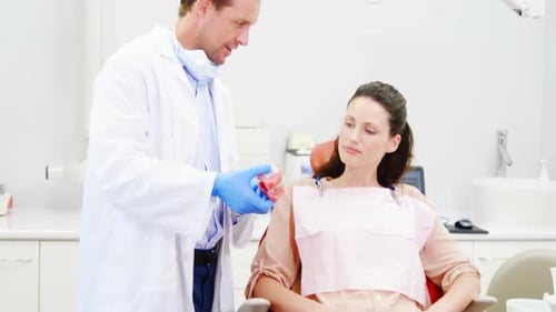 Dentist Explains Dental Model to Patient in Office
