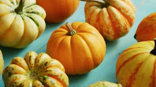 Pumpkins Laid in Row on Table