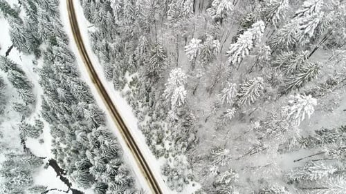 Auto fährt im Winter entlang der Forststraße