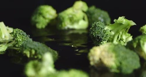 Fall Fresh Broccoli in the Water.