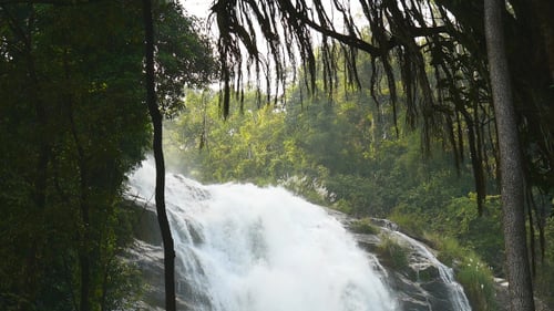 Wasserfall im Wald