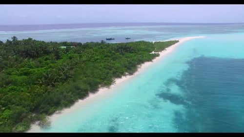 Aerial drone scenery of exotic island beach wildlife by aqua blue lagoon with white sandy background