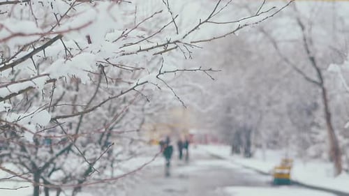 Snowy Branches and Pedestrians in Winter Cityscape