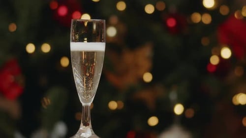Champagne Bubbles with Bokeh Christmas Tree Background
