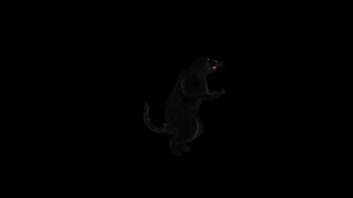 Animated 3D Black Panther Standing Turning Alpha Channel