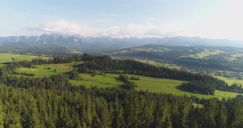 Über den Wald fliegen Bäume Landschaftspanorama