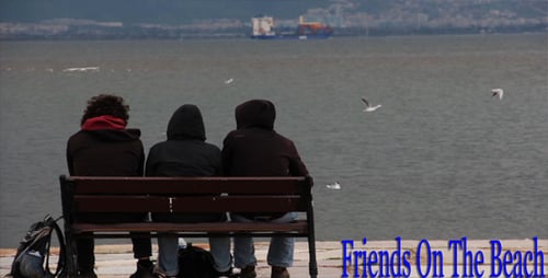 Friends On The Beach