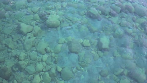 Transparent Water On The Sea Shore