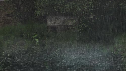 20. Afternoon Rain Down On Abandoned House In The Middle Of The Rainforest