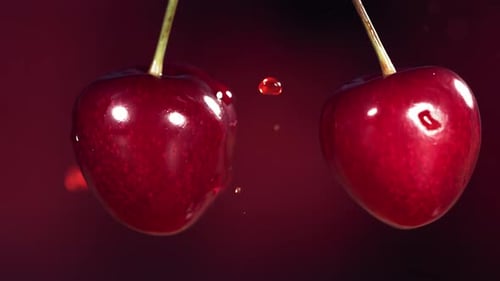 Sweet Cherries on Stems Colliding and Splashing Juice Droplets in Slow Motion