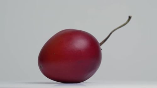 Tamarillo 27