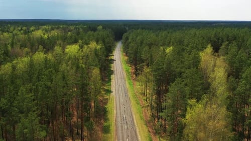 Aerial View Of Road Through Spring Mixed Forest Landscape