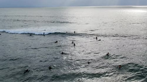 Aerial View of Surfers Waiting, Paddling and Enjoying Waves