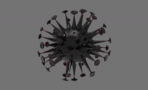 Coronavirus