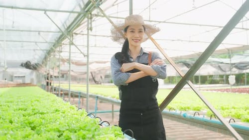 Portrait of beautiful girl farmer working in vegetable hydroponic farm.