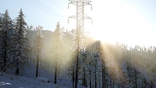 Electric Line at Sunrise