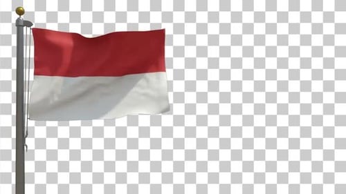 Seamless Loop of Waving Red and White National Flag with Alpha Channel