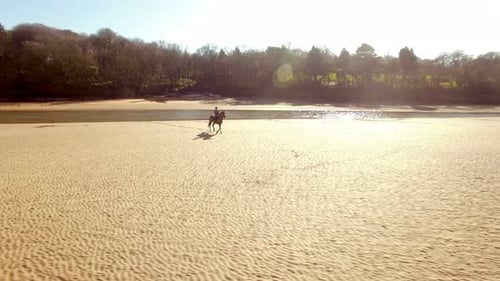 Woman riding horse on a beach
