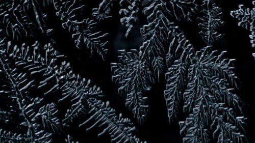 Intricate Ice Crystal Patterns Forming on Dark Background